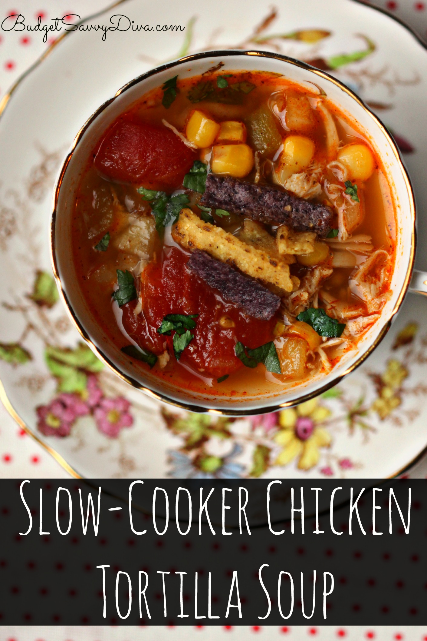 Slow-Cooker Chicken Tortilla Soup Recipe | Budget Savvy Diva