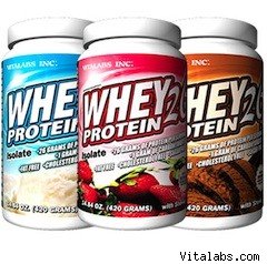 vitalabs salmonella