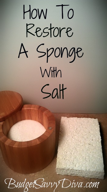 Use Salt to Revive Your Kitchen Sponge