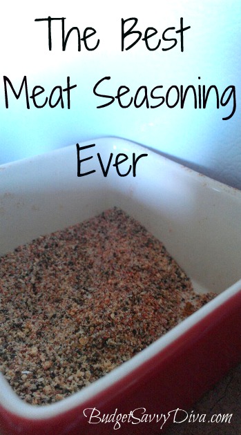 The Best Meat Seasoning Ever - Budget Savvy Diva