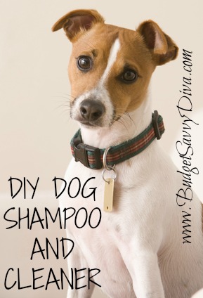 Diy 2025 dog conditioner