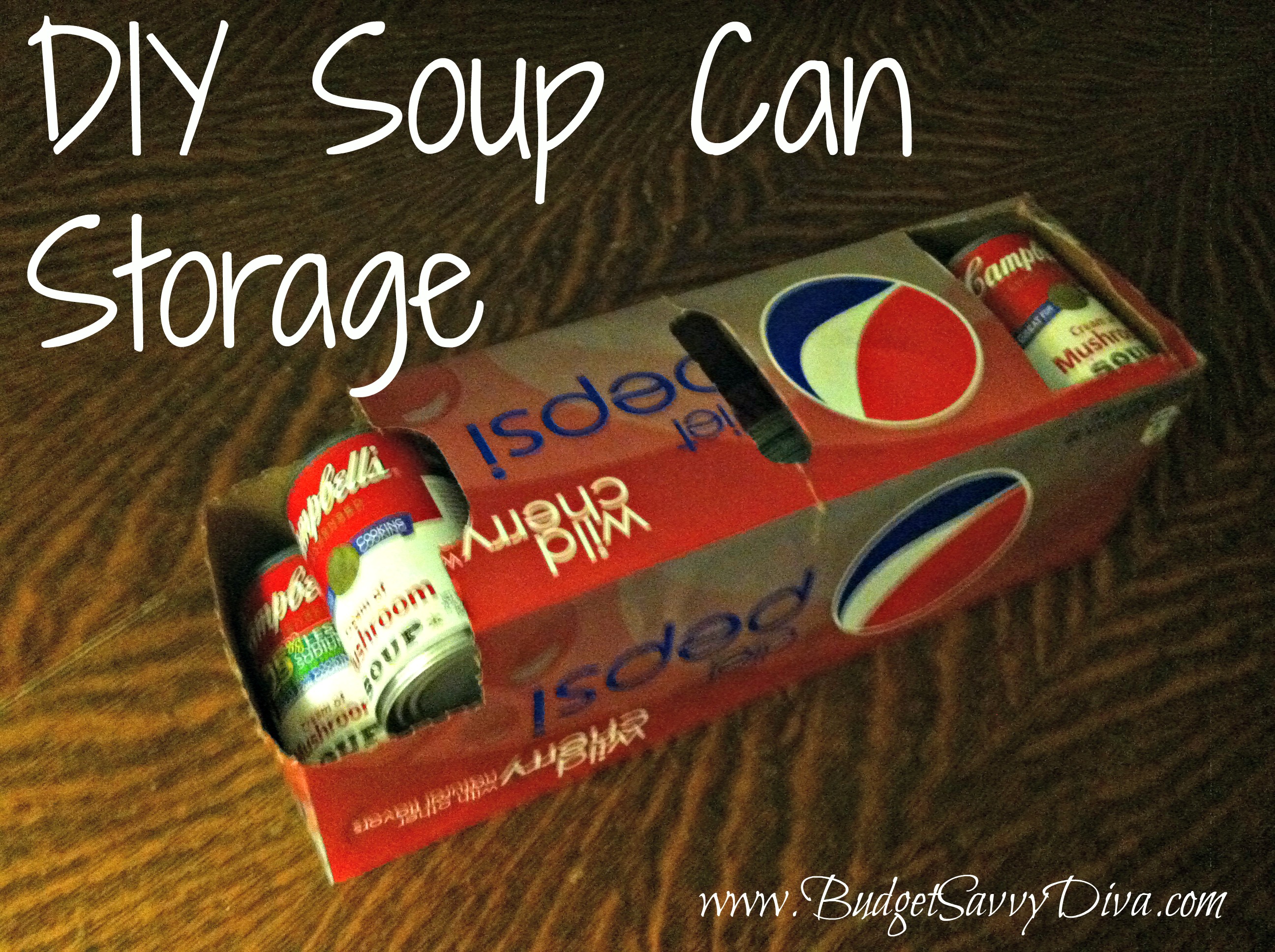 https://www.budgetsavvydiva.com/wp-content/uploads/2012/12/diy-soup-storage.jpg