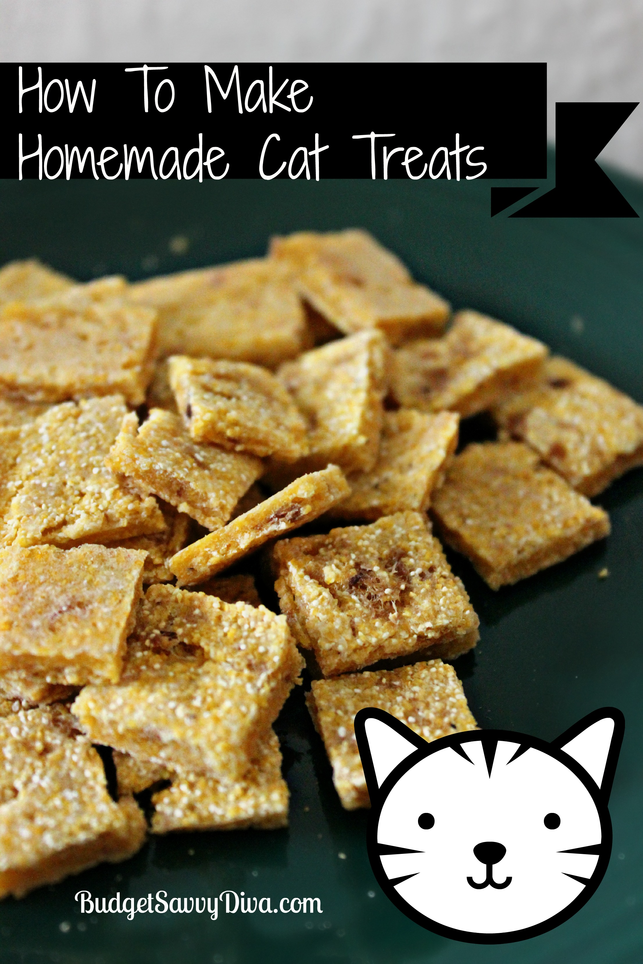 How To Make  Homemade Cat  Treats  Recipe Budget Savvy Diva