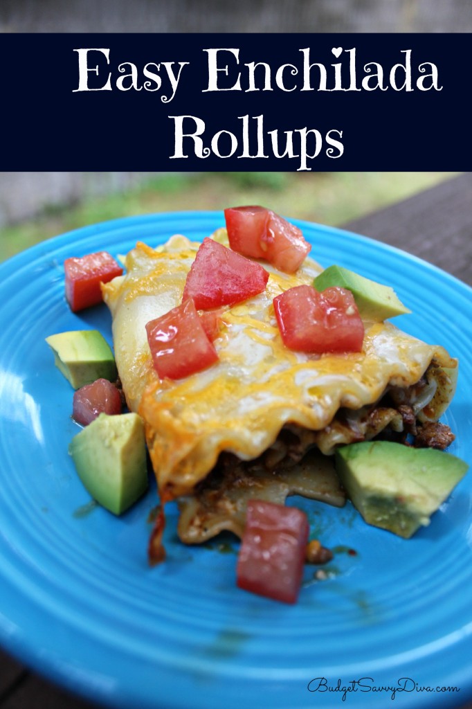 Enchilada Rollups Recipe 