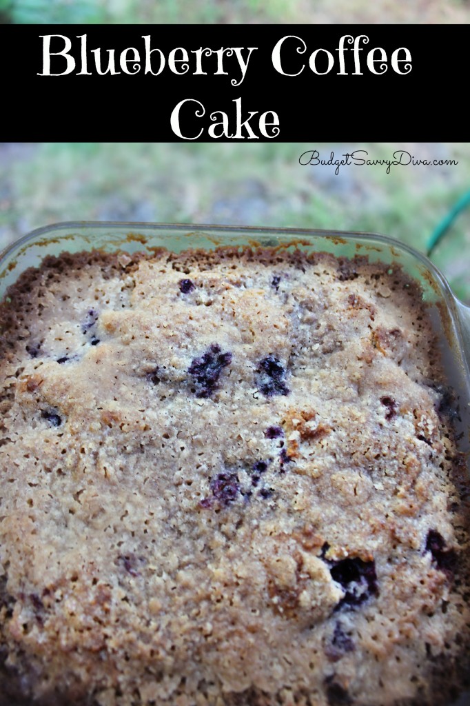 Blueberry Coffee Cake Recipe 