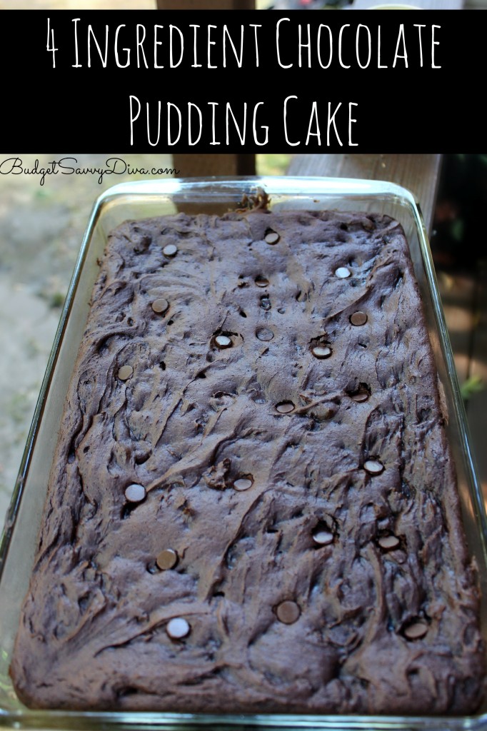 4 Ingredient Chocolate Pudding Cake Recipe 