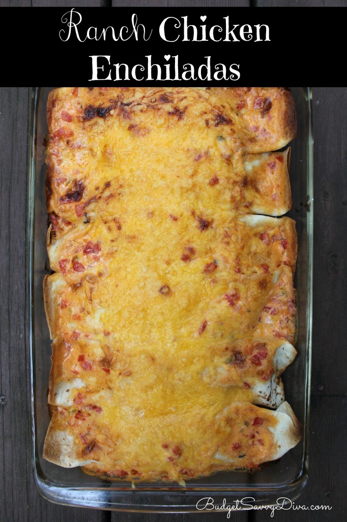 Ranch Chicken Enchiladas Recipe 