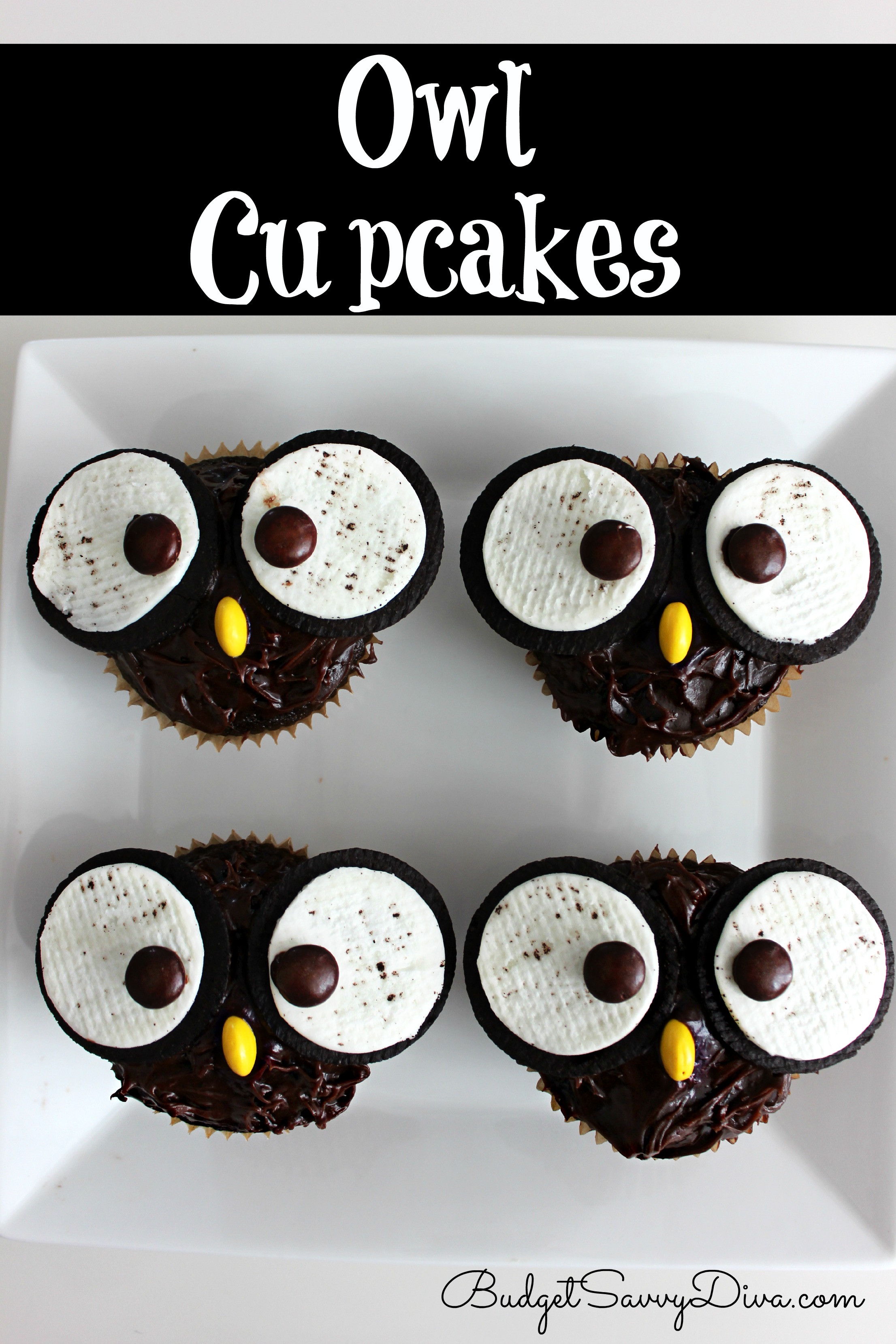 Owl Cupcakes Recipe - Budget Savvy Diva