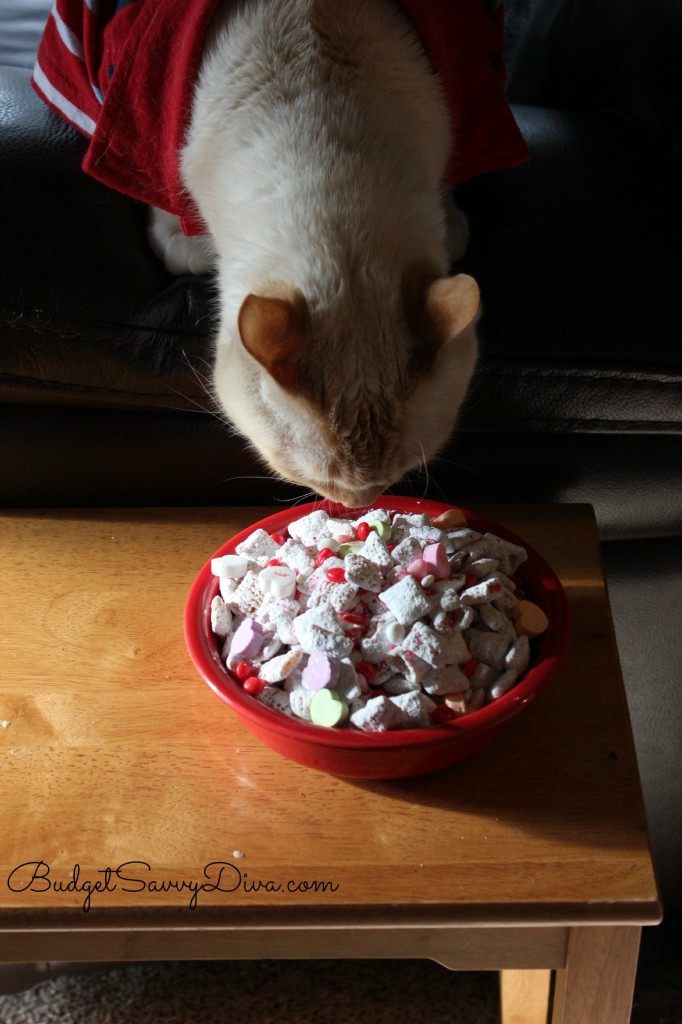 Valentine's Day Puppy Chow Recipe 