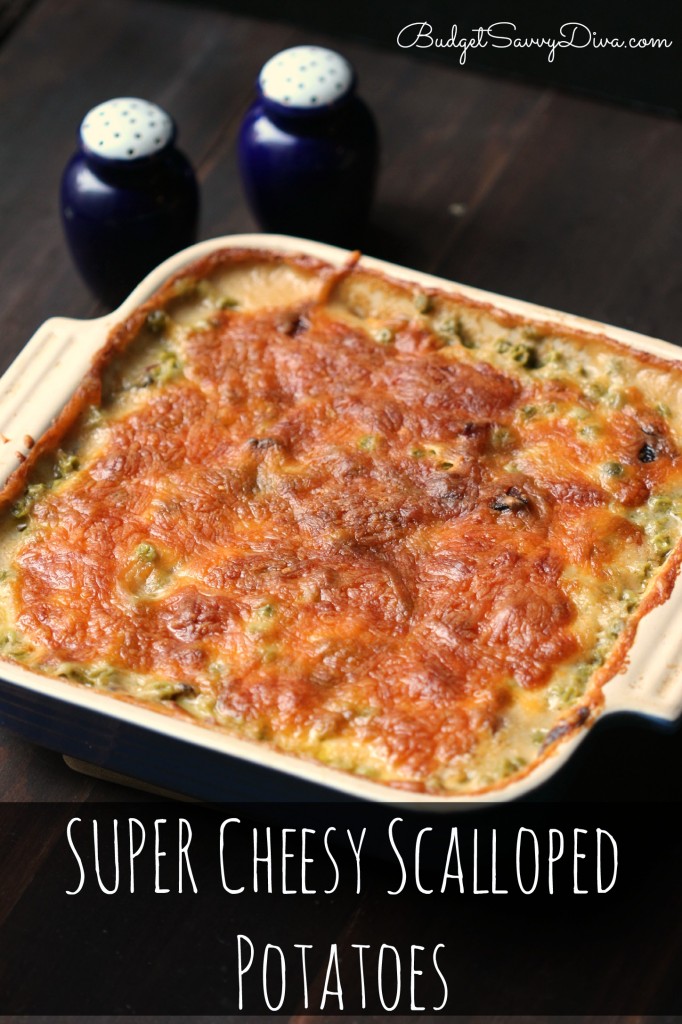 SUPER Cheesy Scalloped Potatoes Recipe 