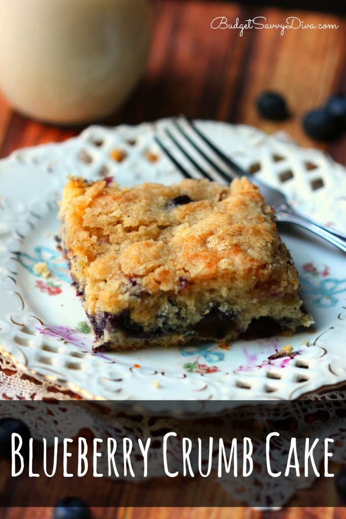 Blueberry Crumb Cake Recipe 