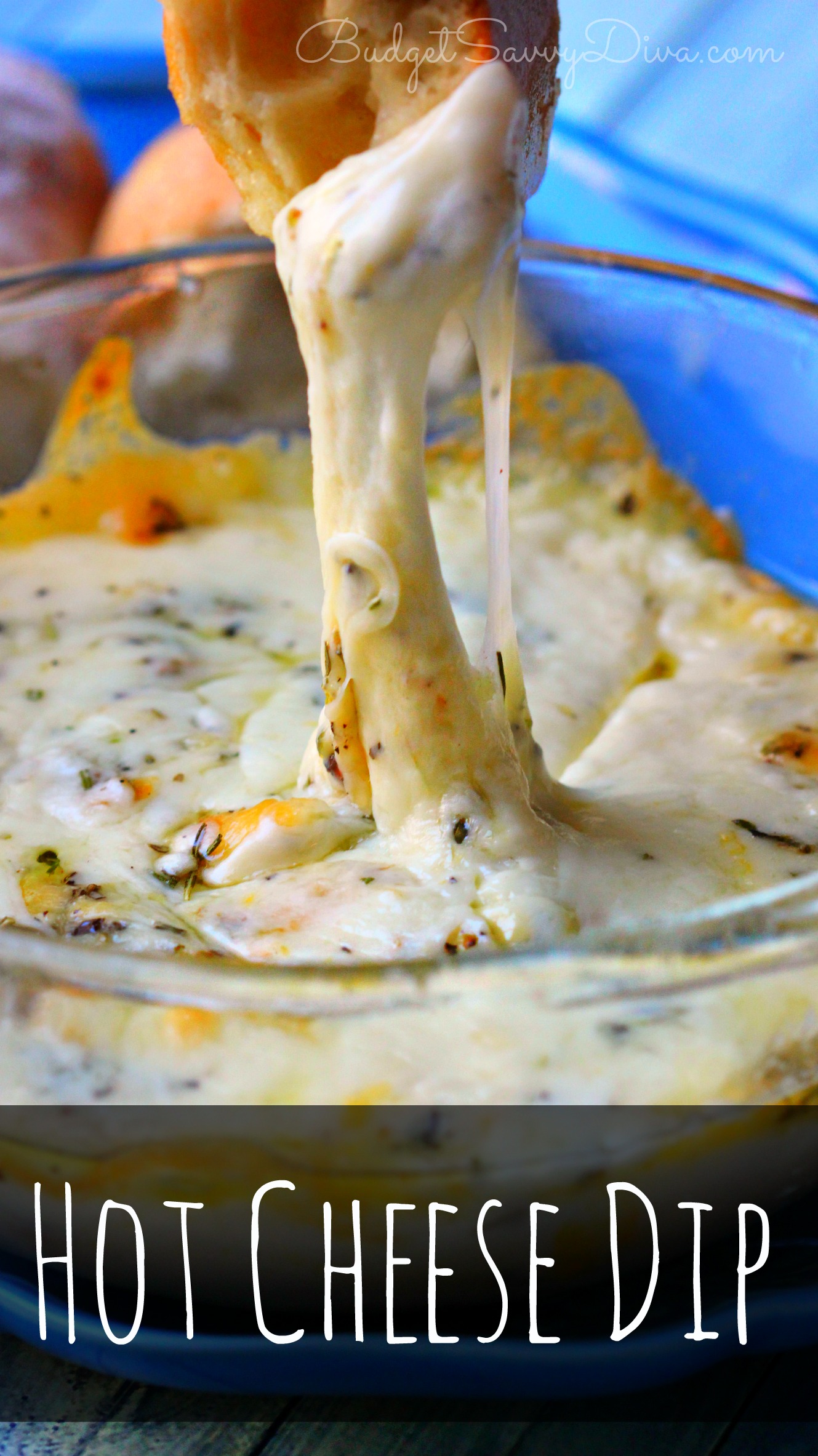 Hot Cheese Dip Recipe  Budget Savvy Diva