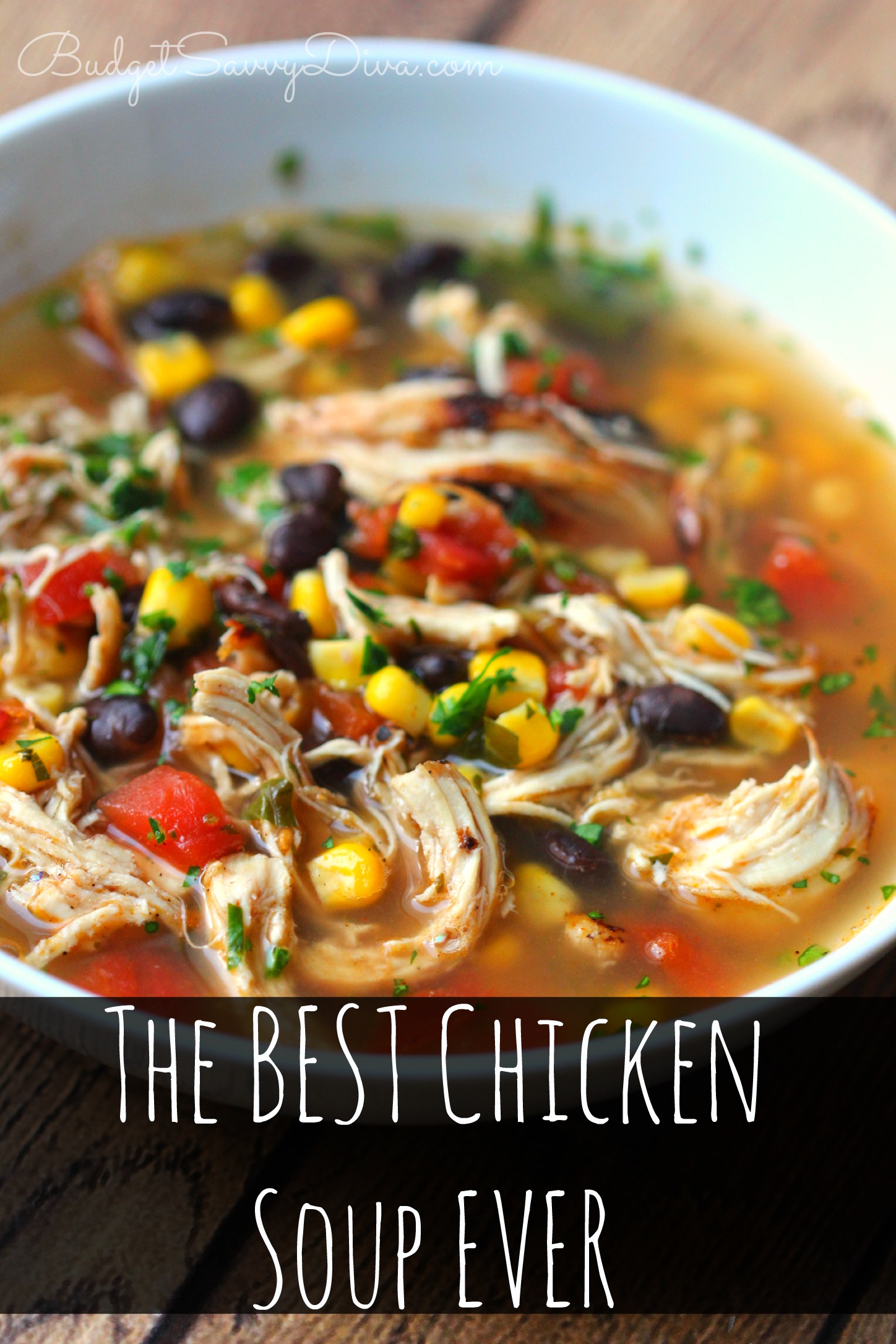 The BEST Chicken Soup Ever Recipe - Budget Savvy Diva