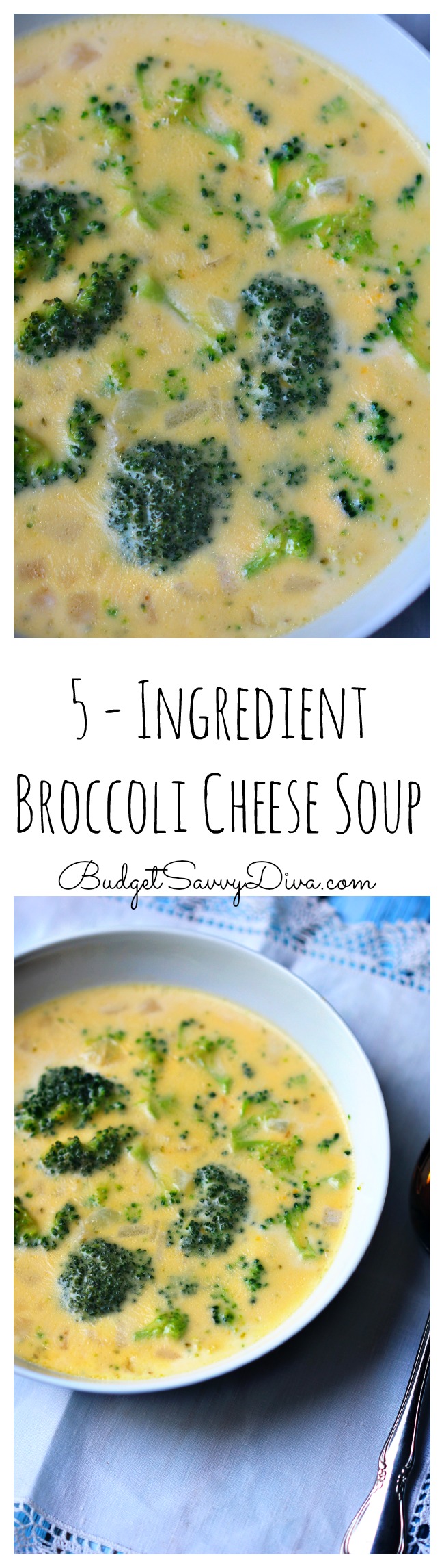 5 - Ingredient Broccoli Cheese Soup Recipe  