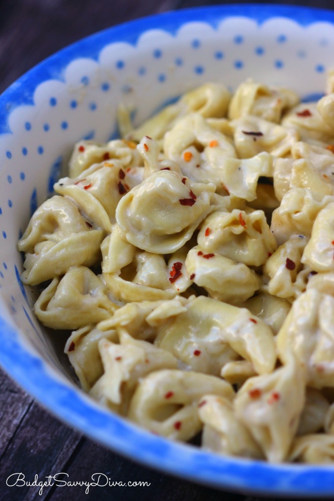 The BEST Alfredo Tortellini Recipe 