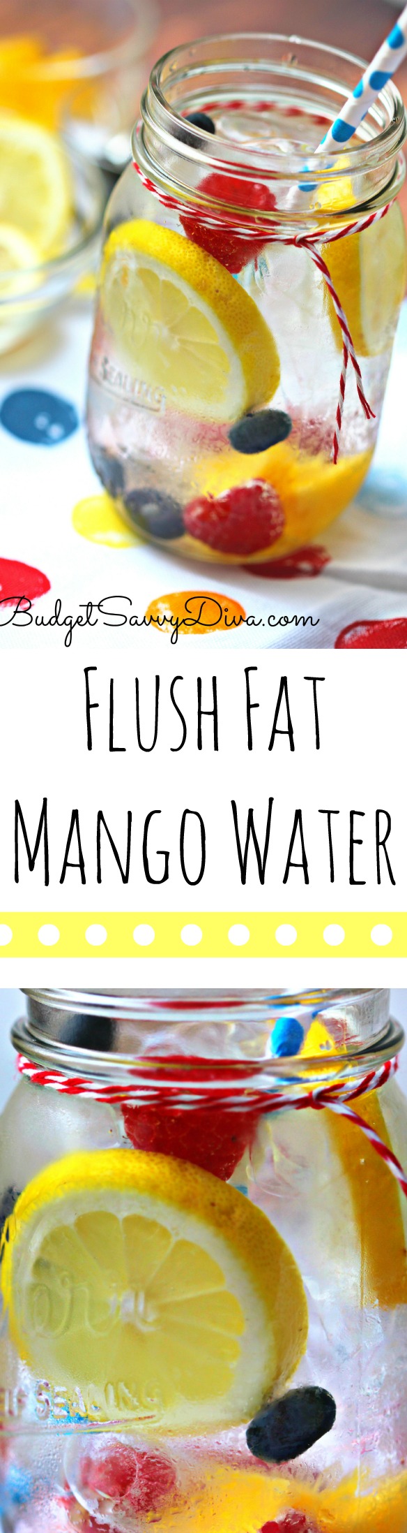 Flush Fat Mango Detox Water Recipe 