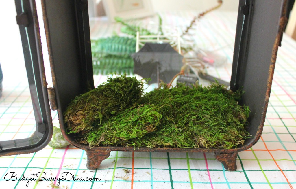 Fairy Garden 4