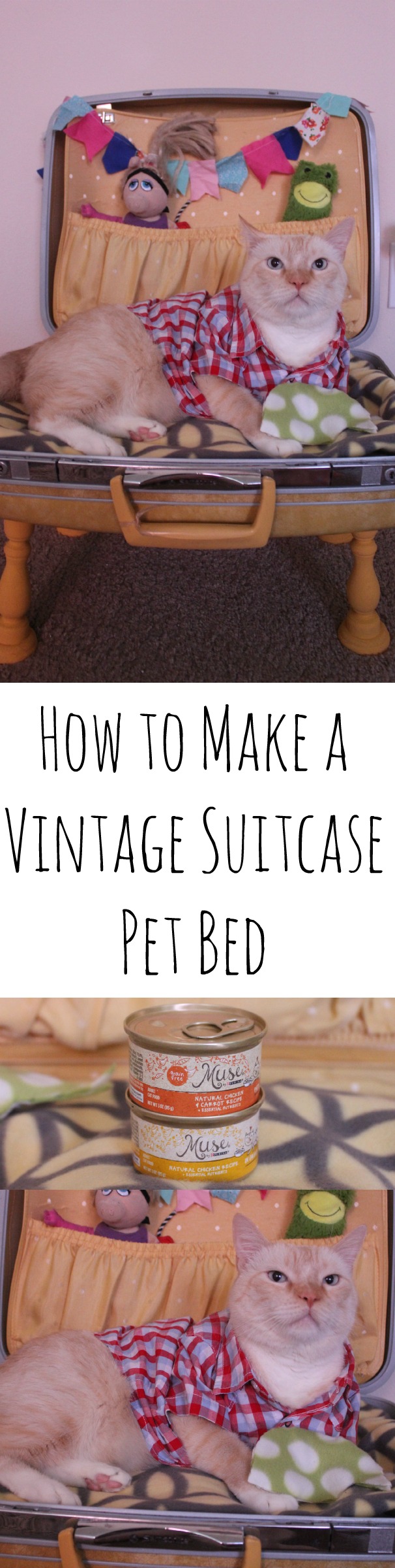 How to Make a Vintage Suitcase Pet Bed