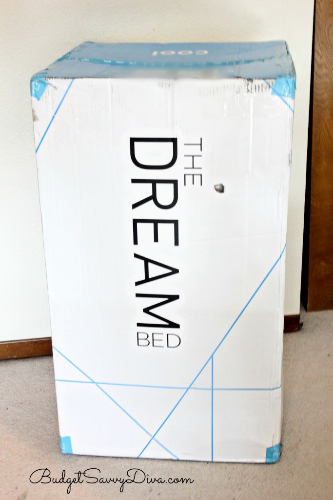 Dream Bed 3