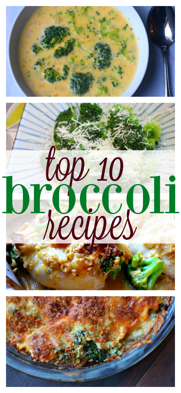 The Best Broccoli Recipes! | Budget Savvy Diva