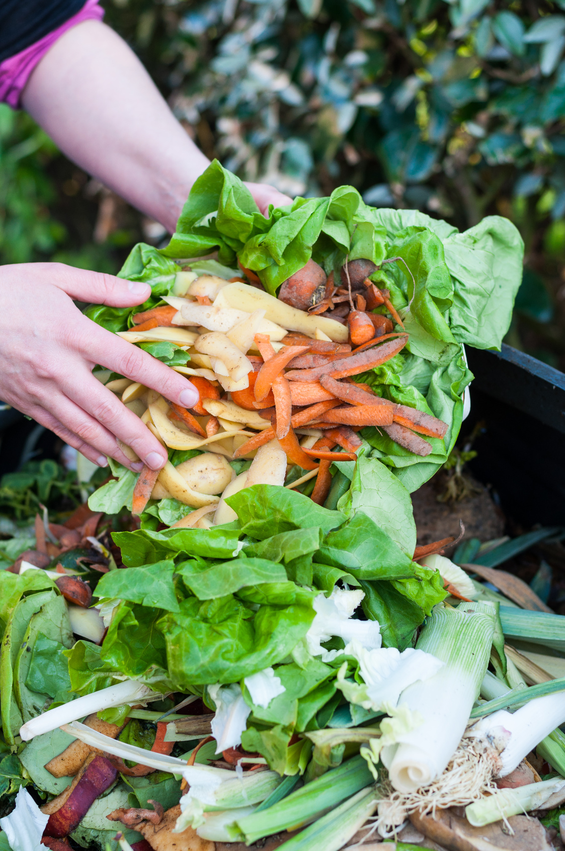 Composting the Kitchen Waste