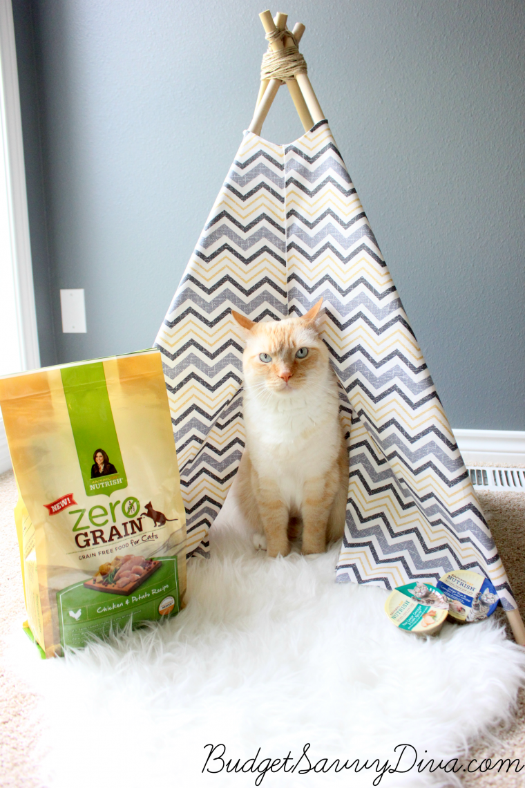 How To Make A Cat Teepee Budget Savvy Diva