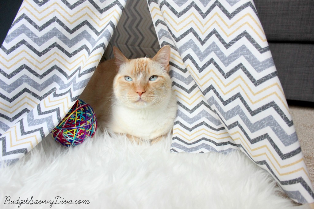 Watson Teepee 3