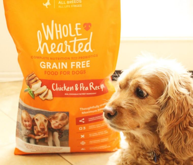 organic dog food petco