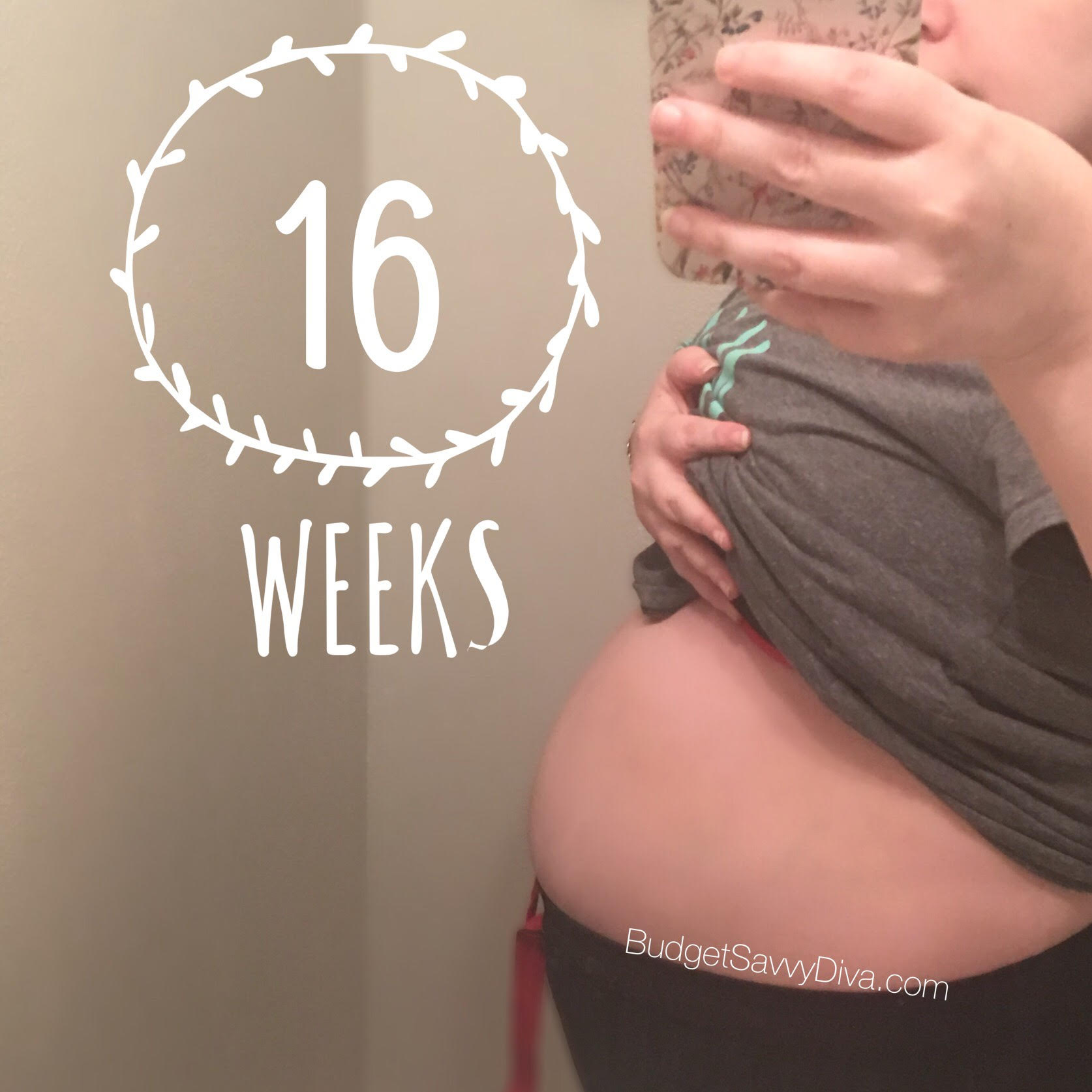 16 Weeks Pregnant With Twins Update Budget Savvy Diva 16-weeks-pregnant-with-twins-update-budget-savvy-diva
