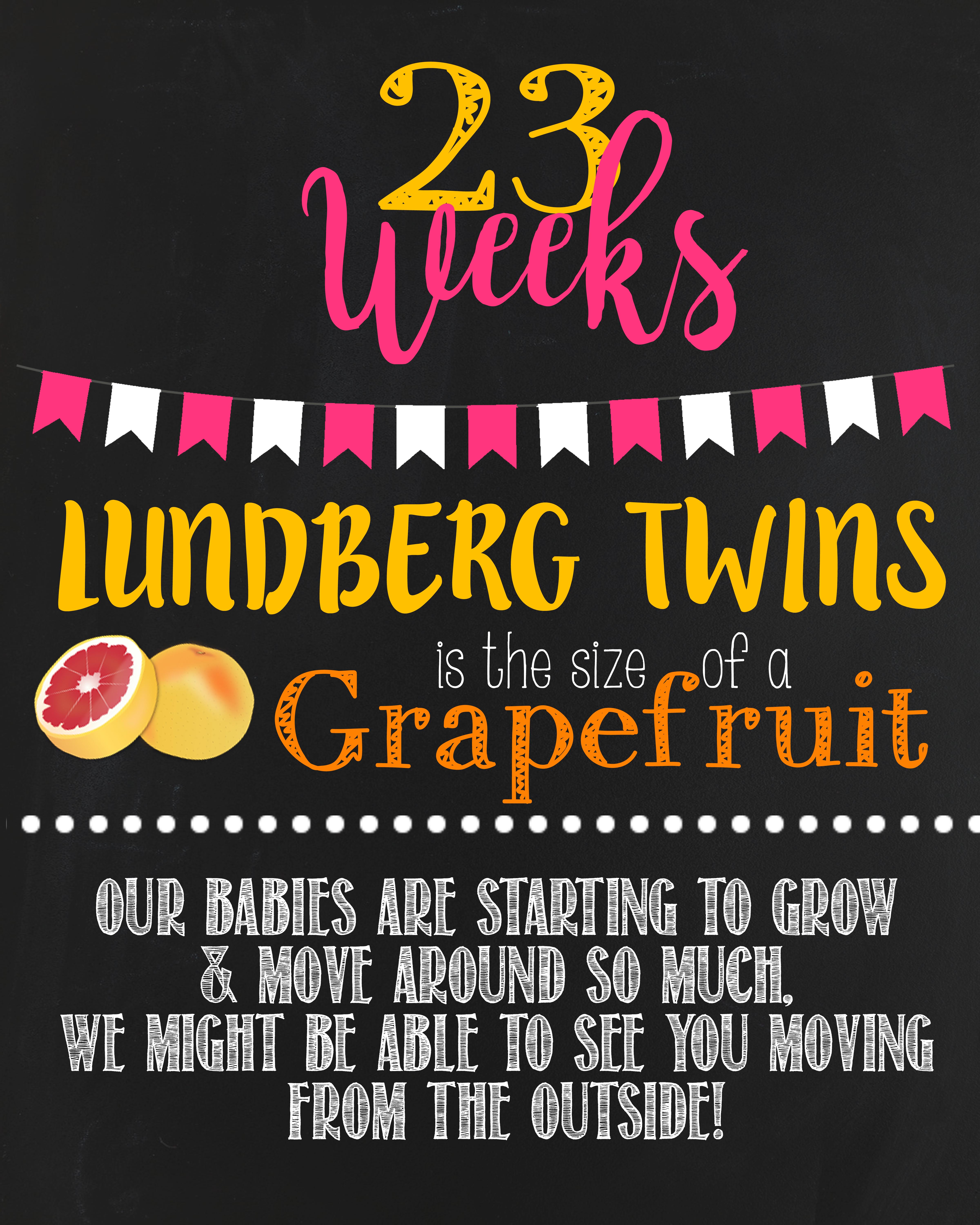 23 Weeks Pregnant With Twins Update Budget Savvy Diva 23 Weeks Pregnant With Twins Update Budget Savvy Diva