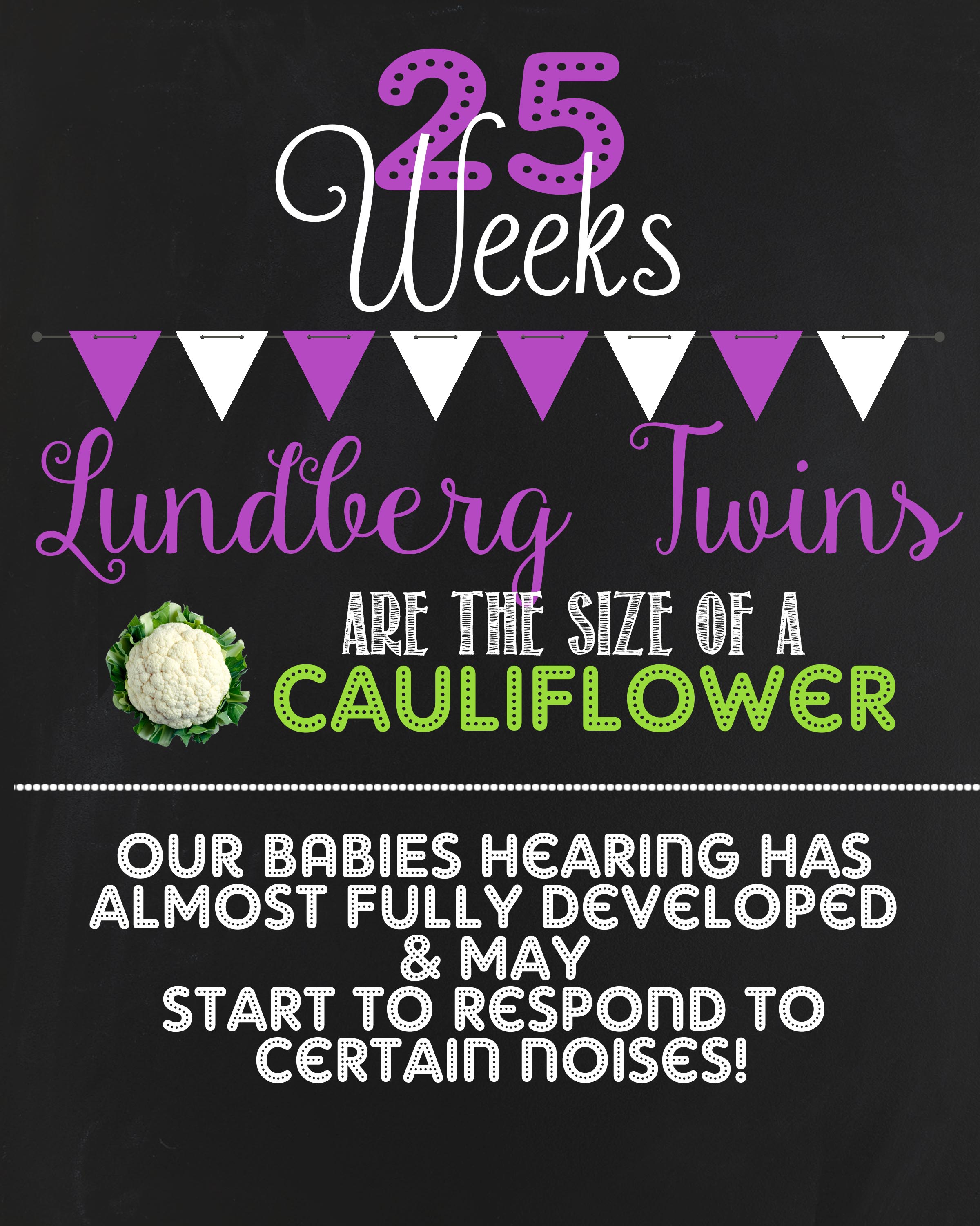25 Weeks Pregnant With Twins Update Budget Savvy Diva