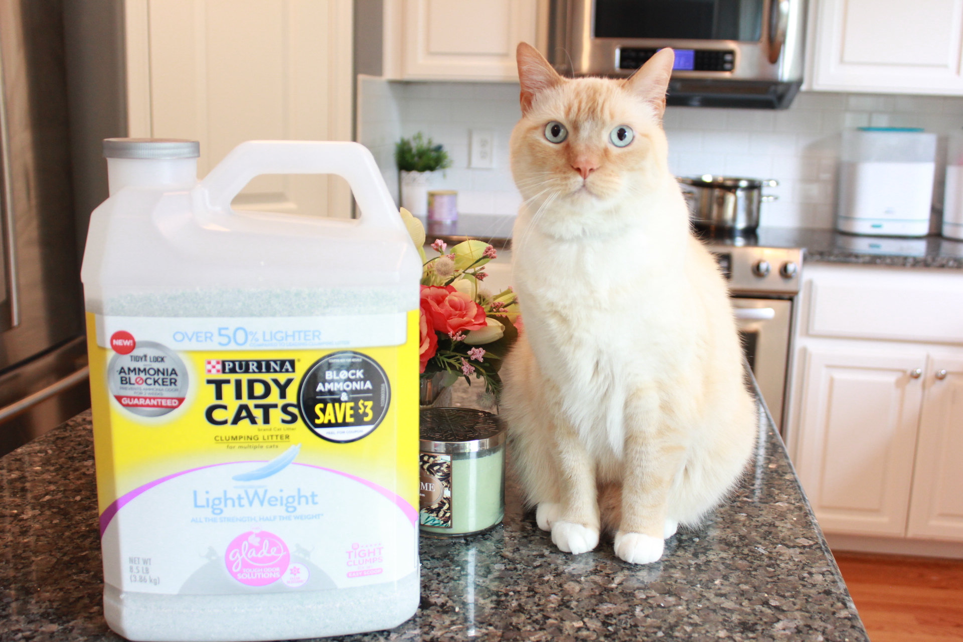 tidy cat lightweight litter killing cats 2017