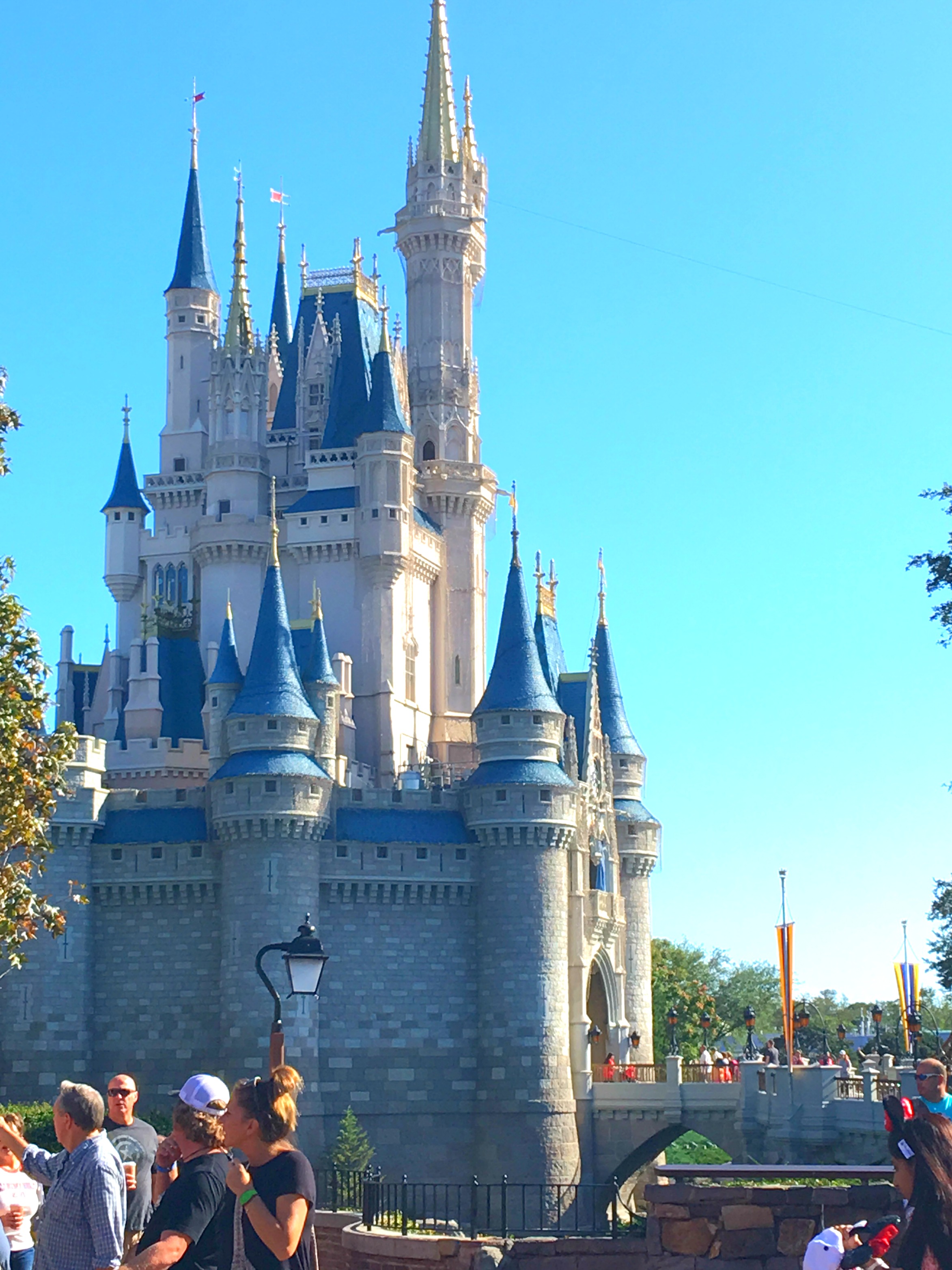 How to plan a disney world vacation on a budget budget savvy diva