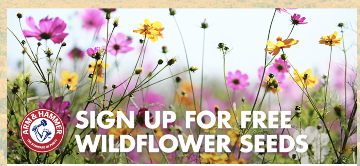 FREE Wildflower Seeds Budget Savvy Diva