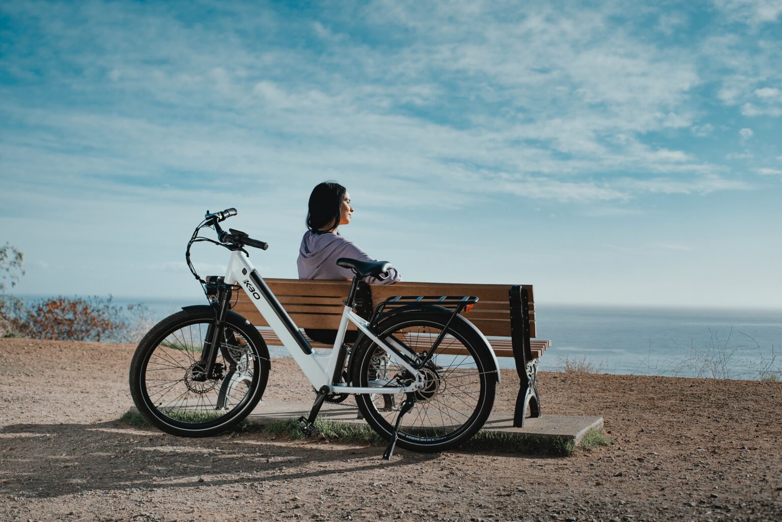 eBike with Belt Drive; Are Belt Drive eBikes Worth it? How Do They Stack Up Against Other eBike