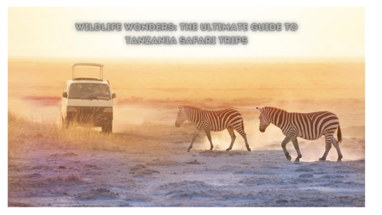 wildlife tourism in tanzania