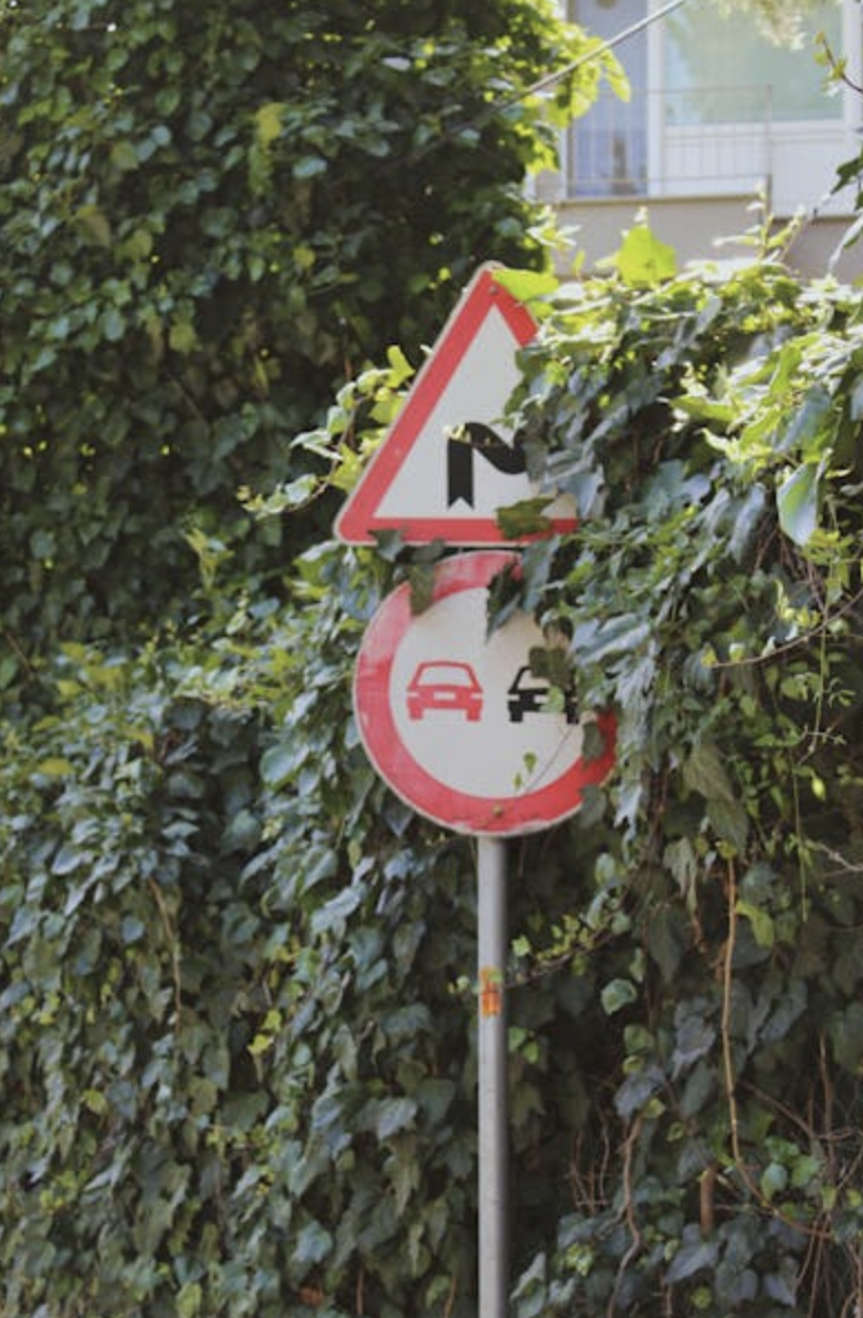 What Are The Different Types Of Visual Cues? - Budget Savvy Diva